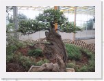 147-4788_IMG * Floriade * 1600 x 1200 * (778KB)