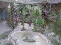 P1150138
