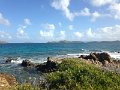 IMG_0329
