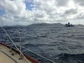 IMG_0334