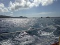 IMG_0341