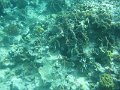 IMG_1489