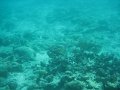 IMG_1498