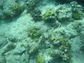 IMG_1500