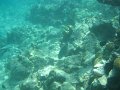 IMG_1502