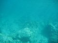IMG_1509