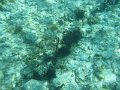 IMG_1511