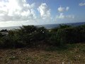 IMG_0347