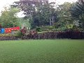 IMG_0350