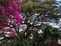 IMG_0352