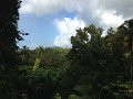 IMG_0353