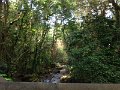 IMG_0354