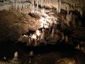 IMG_0371
