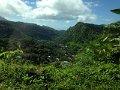 IMG_0384
