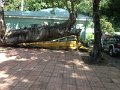 IMG_0388