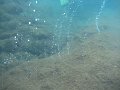 IMG_1519