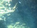 IMG_1522
