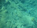 IMG_1525