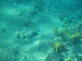 IMG_1528