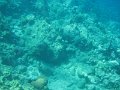 IMG_1531