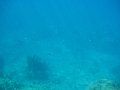 IMG_1532