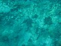 IMG_1535