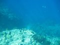 IMG_1539