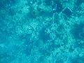 IMG_1554