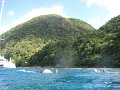 IMG_1558