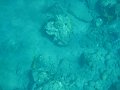 IMG_1561