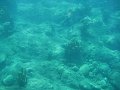 IMG_1563