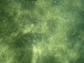 IMG_1567