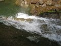IMG_1575