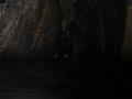 IMG_1578