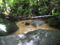IMG_1599