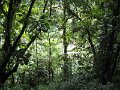 IMG_1601