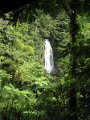 IMG_1602