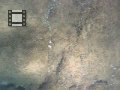 MVI_1569