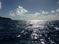 IMG_0405