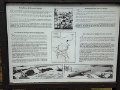 IMG_0422