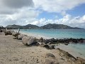 IMG_0433