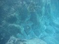 IMG_1610
