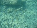 IMG_1615