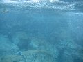 IMG_1620