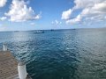 IMG_0220