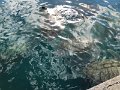 IMG_0232