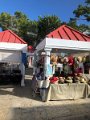 IMG_0616