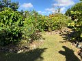 IMG_0622