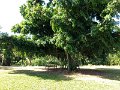 IMG_0644