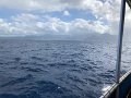 IMG_0944